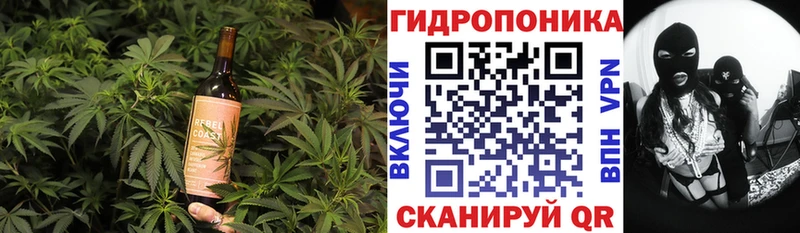 Canna-Cookies марихуана Заинск