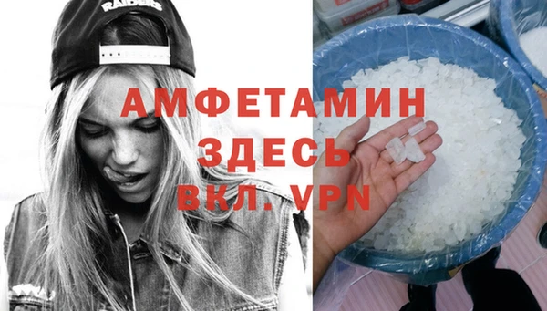 прущие грибы Бородино