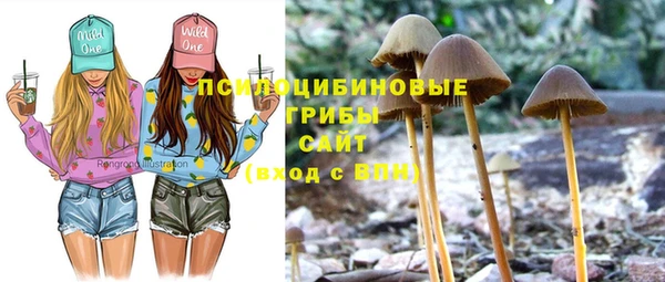 гидра Баксан