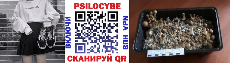 blacksprut онион  Заинск  Галлюциногенные грибы Magic Shrooms 