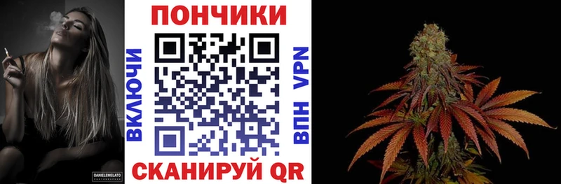 мега сайт Заинск Бошки марихуана конопля